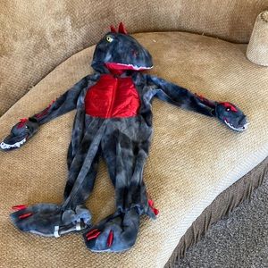 Dragon or Dinosaur costume